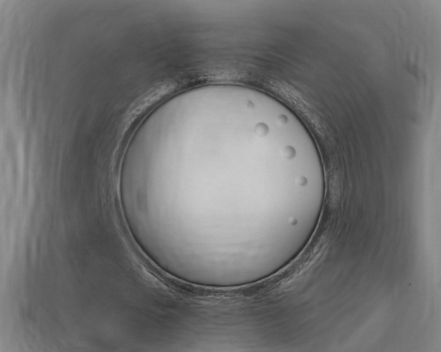 X0000114410721200910161031