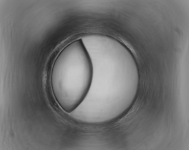 X0000114410722200910161031