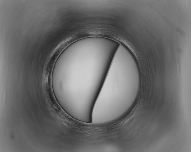X0000114410723200910161031
