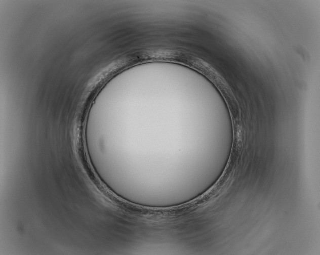 X0000114410725200910161031