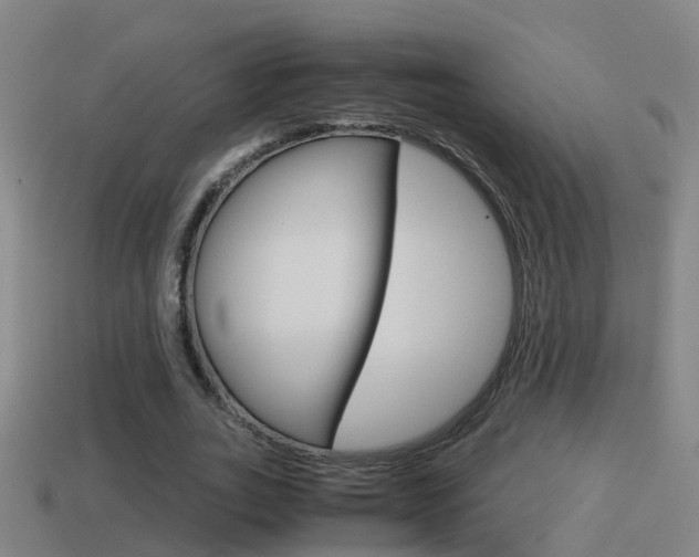 X0000114410727200910161031