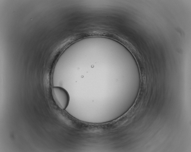 X0000114410729200910161031