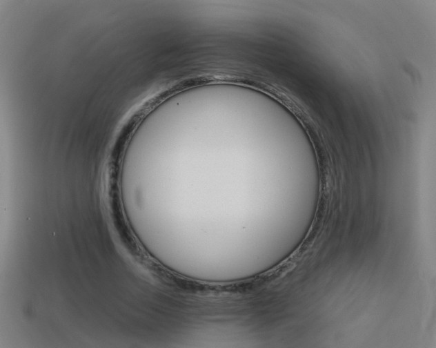 X0000114410730200910161031