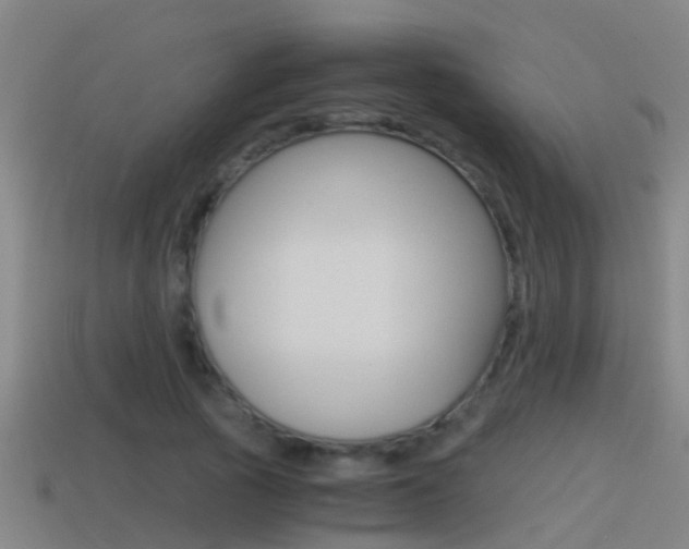 X0000114410737200910161031