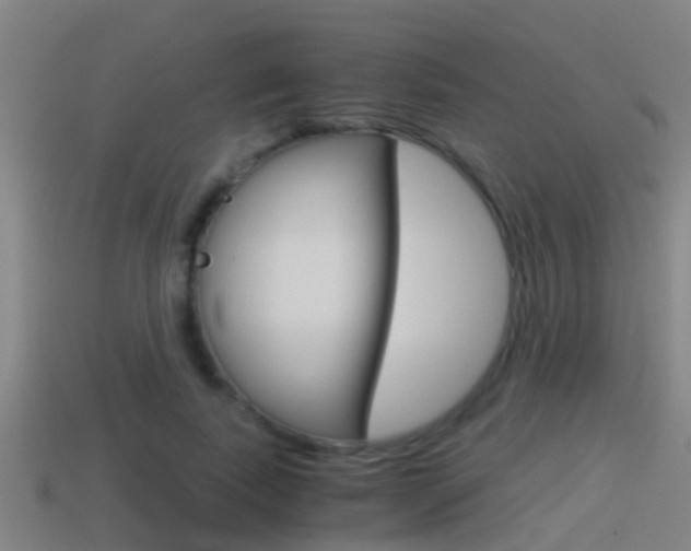 X0000114410739200910161031