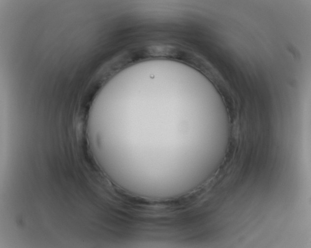 X0000114410741200910161031
