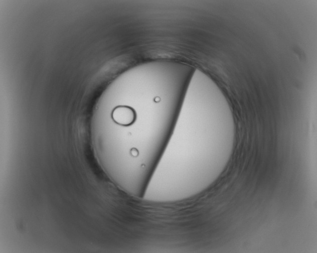 X0000114410743200910161031