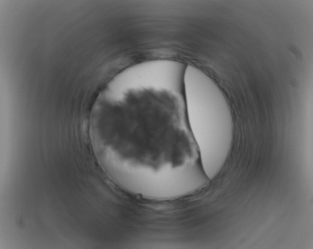 X0000114410745200910161031