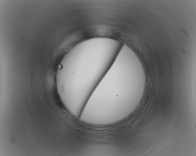 X0000114410746200910161031