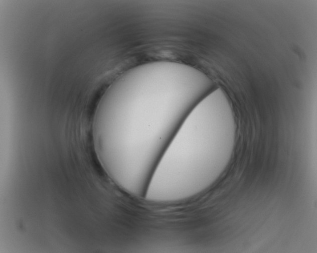 X0000114410747200910161031