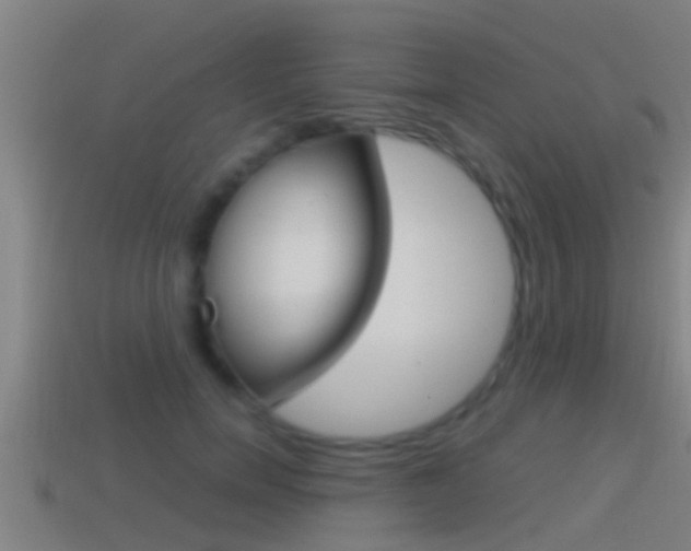 X0000114410750200910161031
