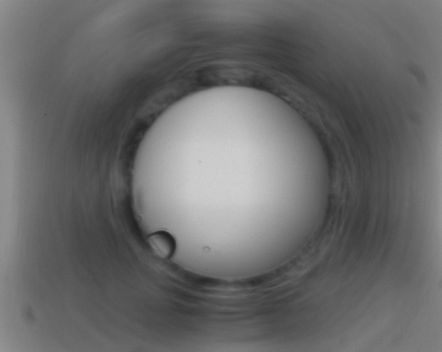 X0000114410751200910161031