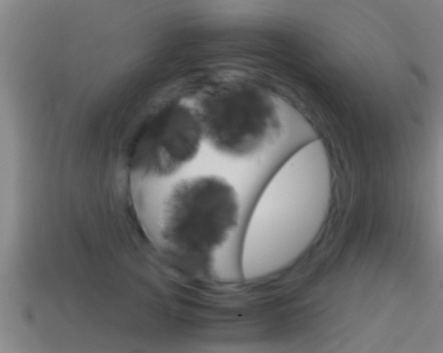 X0000114410753200910161031