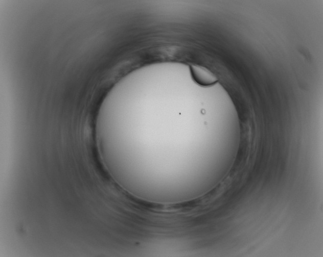 X0000114410754200910161031