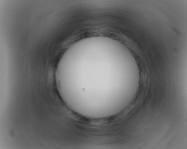 X0000114410757200910161031