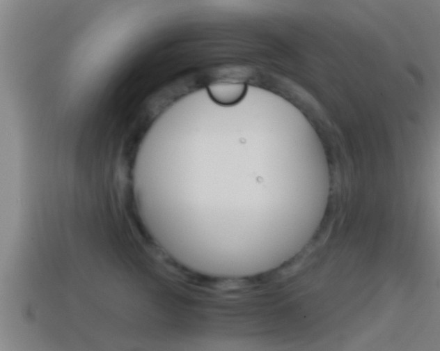 X0000114410761200910161031