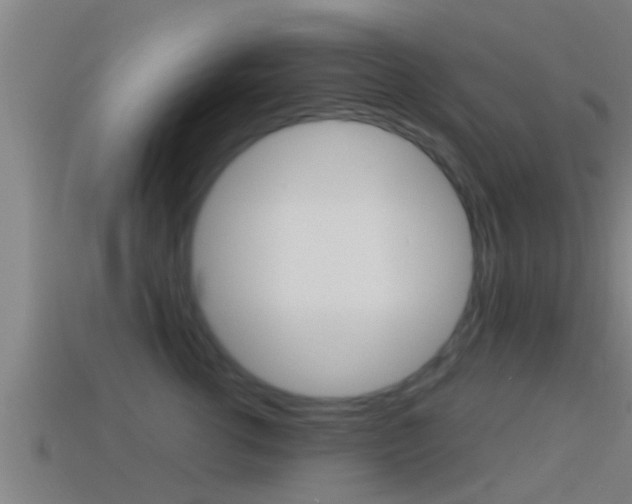 X0000114410762200910161031