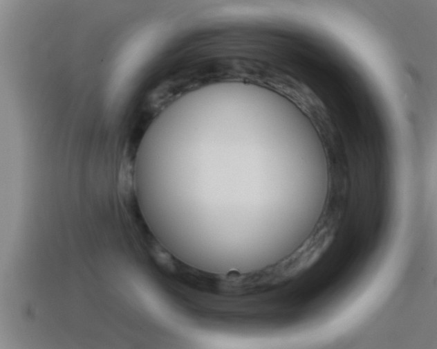 X0000114410766200910161032