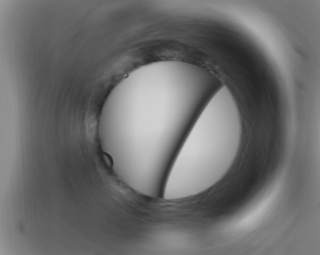 X0000114410767200910161032