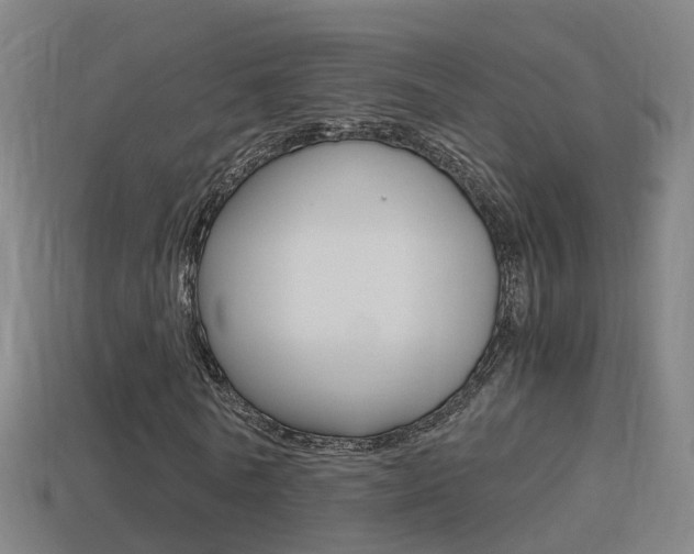 X0000114410770200910161031