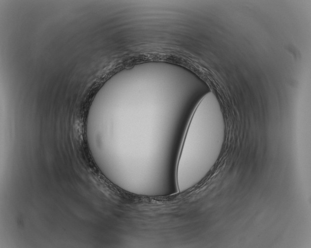 X0000114410772200910161031