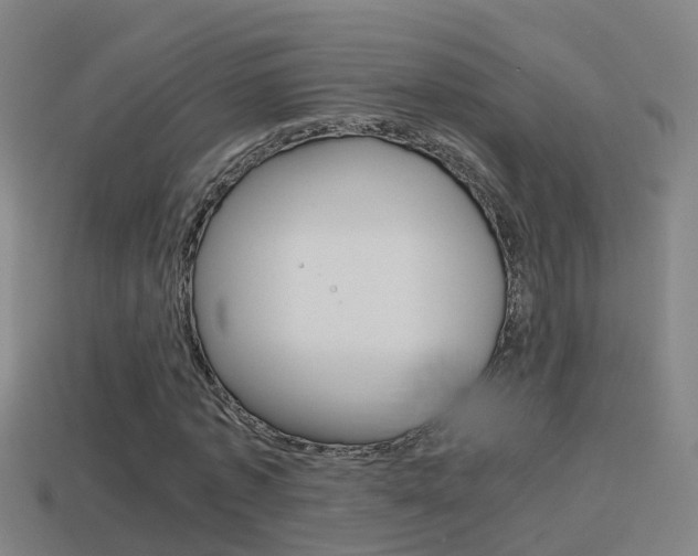 X0000114410773200910161031