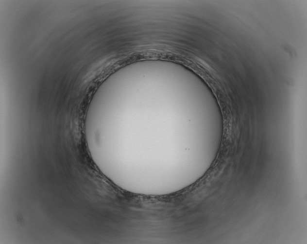 X0000114410774200910161031