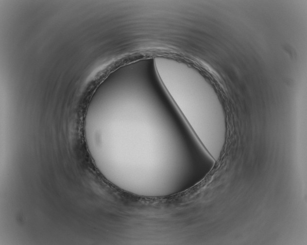 X0000114410775200910161031