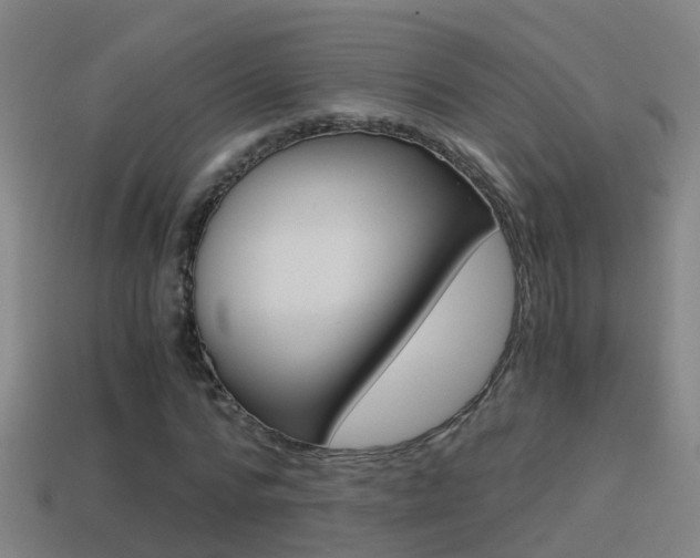 X0000114410776200910161031