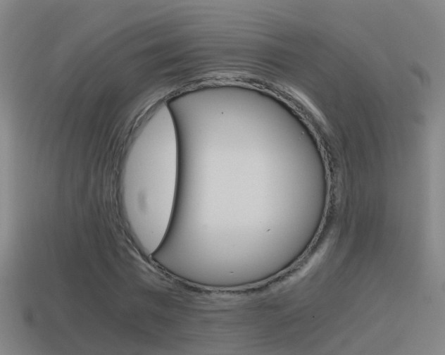 X0000114410777200910161031