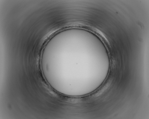 X0000114410778200910161031