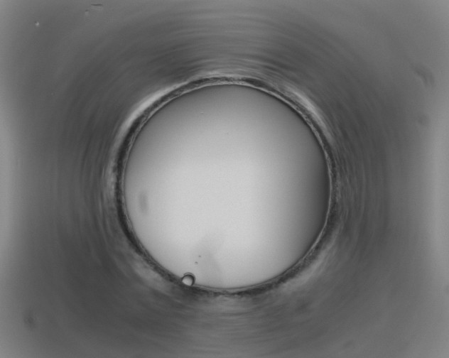 X0000114410779200910161031