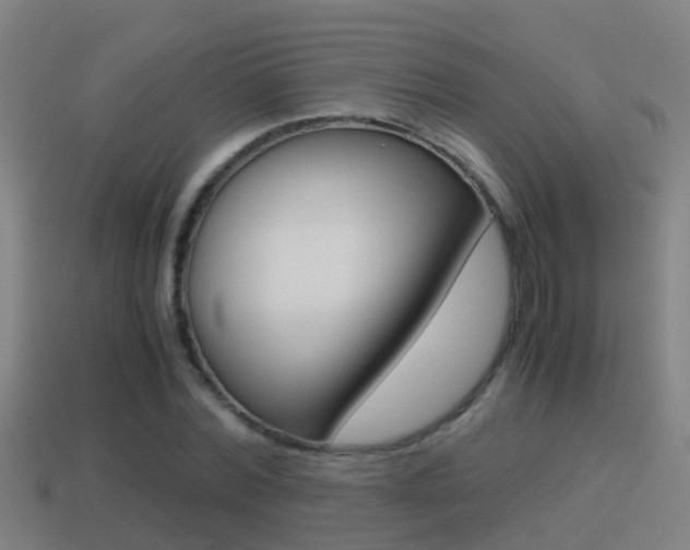 X0000114410780200910161031