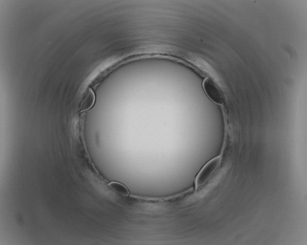 X0000114410781200910161031
