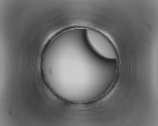 X0000114410783200910161031