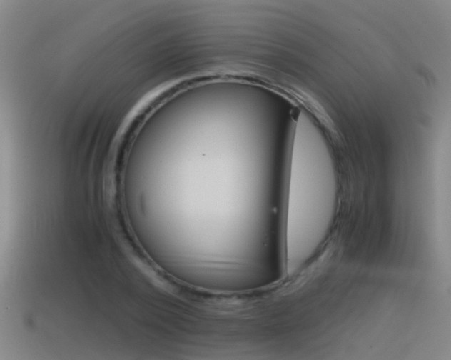 X0000114410784200910161031