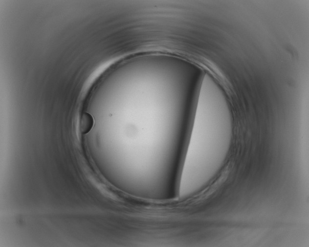 X0000114410788200910161031