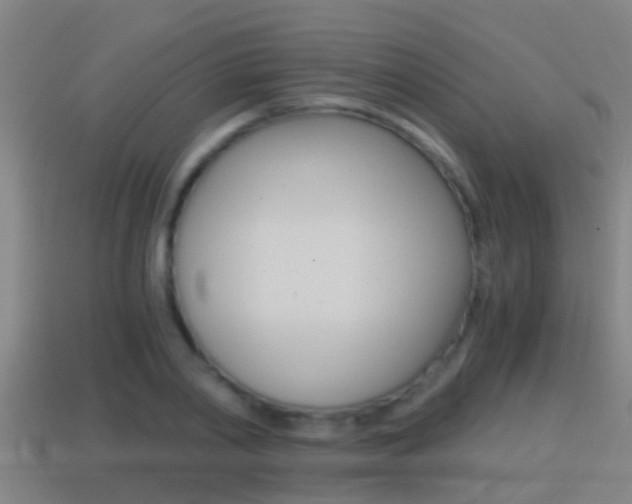 X0000114410790200910161031