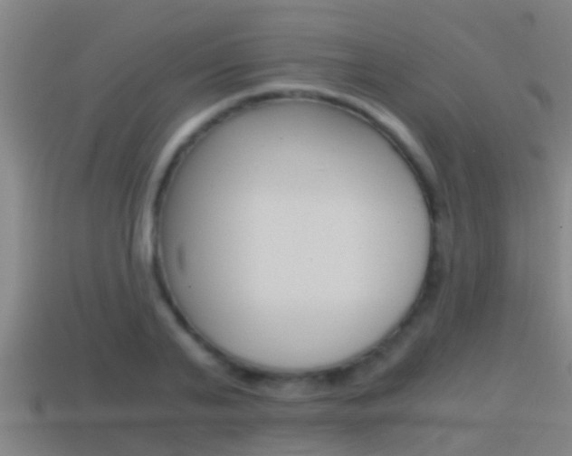 X0000114410791200910161031