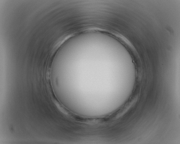 X0000114410793200910161031