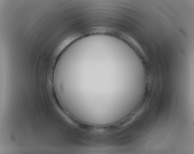X0000114410794200910161031