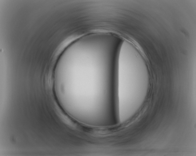 X0000114410795200910161031