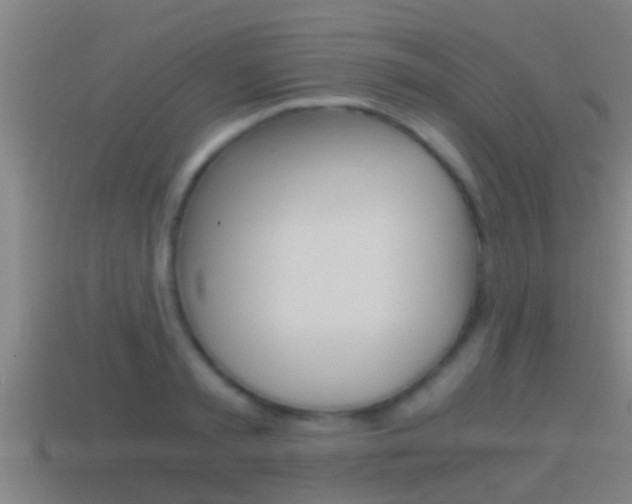 X0000114410797200910161031