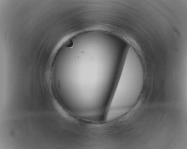 X0000114410800200910161031