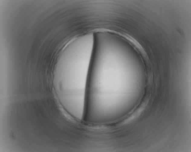 X0000114410801200910161031