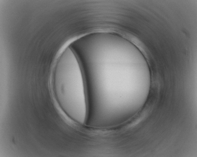 X0000114410803200910161030