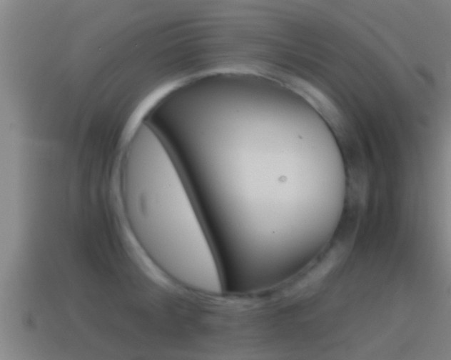 X0000114410804200910161030