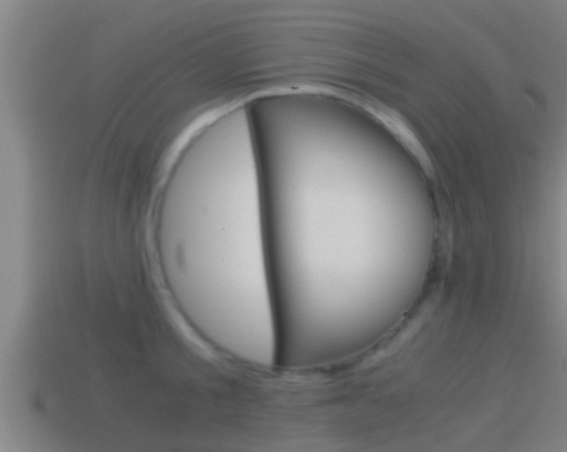 X0000114410805200910161030