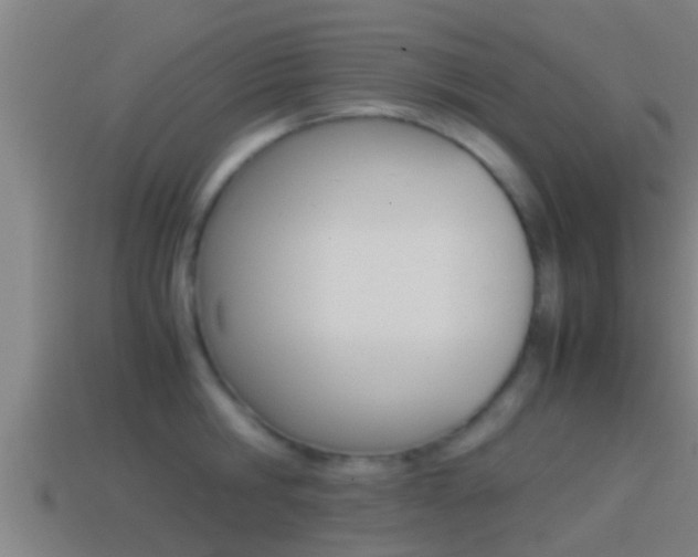 X0000114410806200910161030