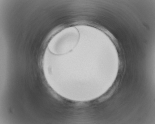 X0000114410807200910161030